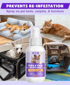 BBOJI™ Flea & Tick Kolirin Spray 🔥 70% Limited Discounts