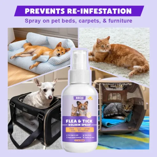 BBOJI™ Flea & Tick Kolirin Spray 🔥 70% Limited Discounts