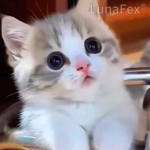 Luna – LunaFex™ My Interactive Robot Kitten - Image 6